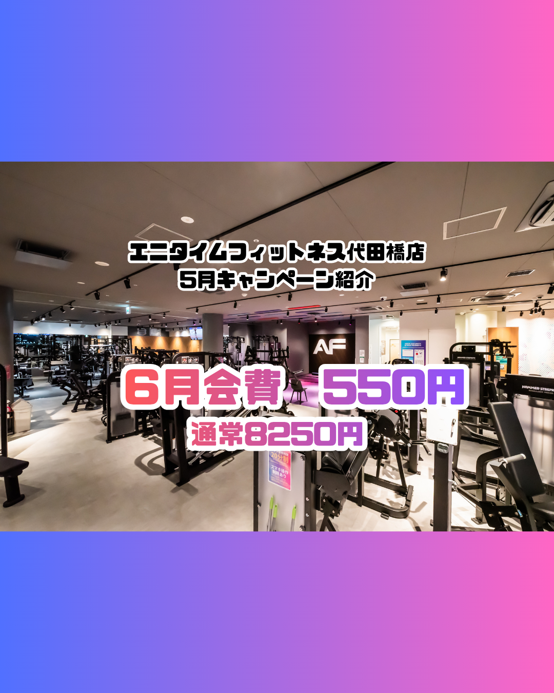 代田橋店